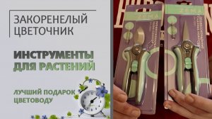 Не дарите растения, дарите инструменты. Секатор - лучший подарок любителю комнатных растений