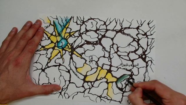 Исполнение 5 желаний в 2026 году Запись эфира #исполнить_мечту@merenkovpavel смотреть онлайн