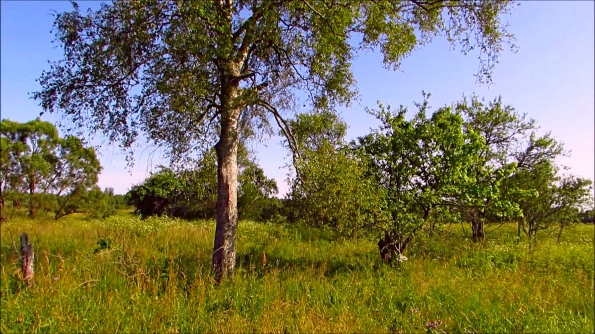 Здесь заканчивается деревня смотреть онлайн