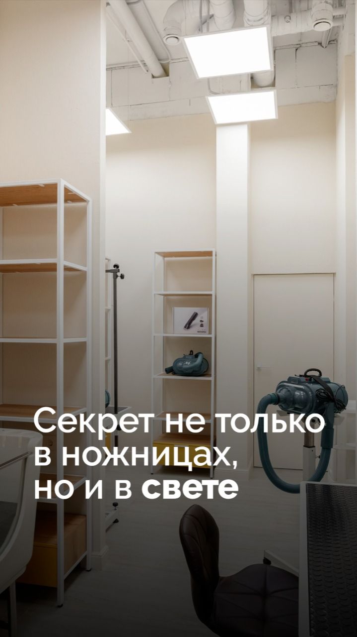 Рабочая зона — святая святых любого груминг-салона смотреть онлайн