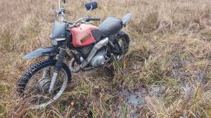 Иж Планета 5 и Irbis XR 250 Через дебри, ручьи и завалы