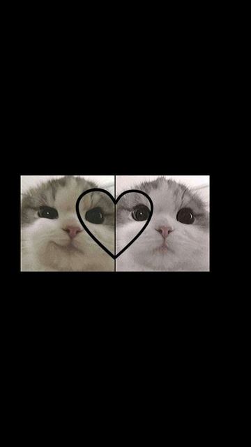 Парные авы:) 👽🤟☺ смотреть онлайн