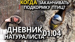 Когда заканчивать подкормку? Дневник натуралиста. 01.04.23