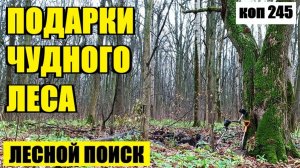 НЕ ОЖИДАЛ ЗДЕСЬ ЕЕ НАЙТИ.  коп 245