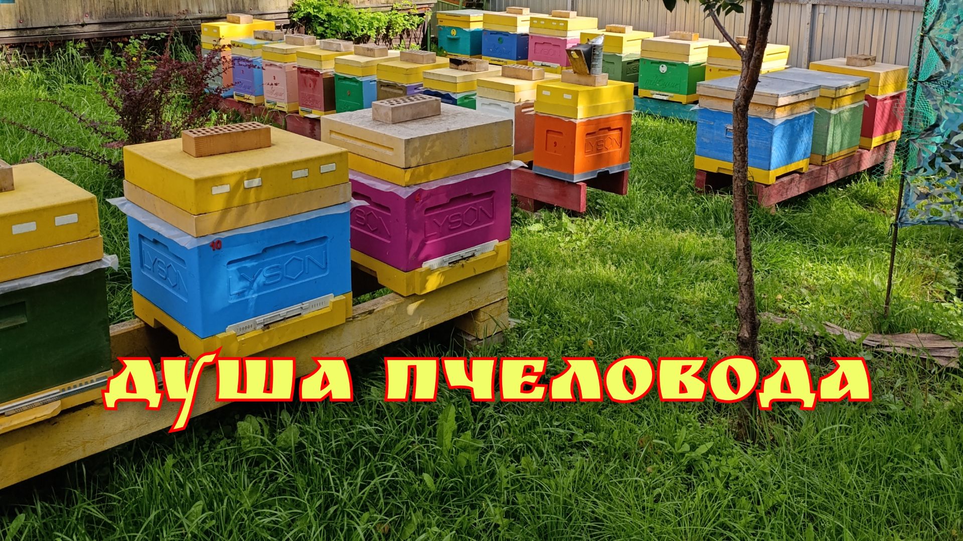 С Наступающим Новым годом 2026!!! смотреть онлайн