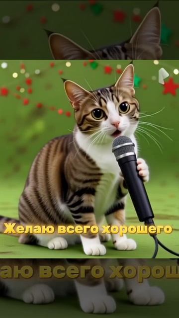 🎄Поздравление с новым годом от Meowl! смотреть онлайн