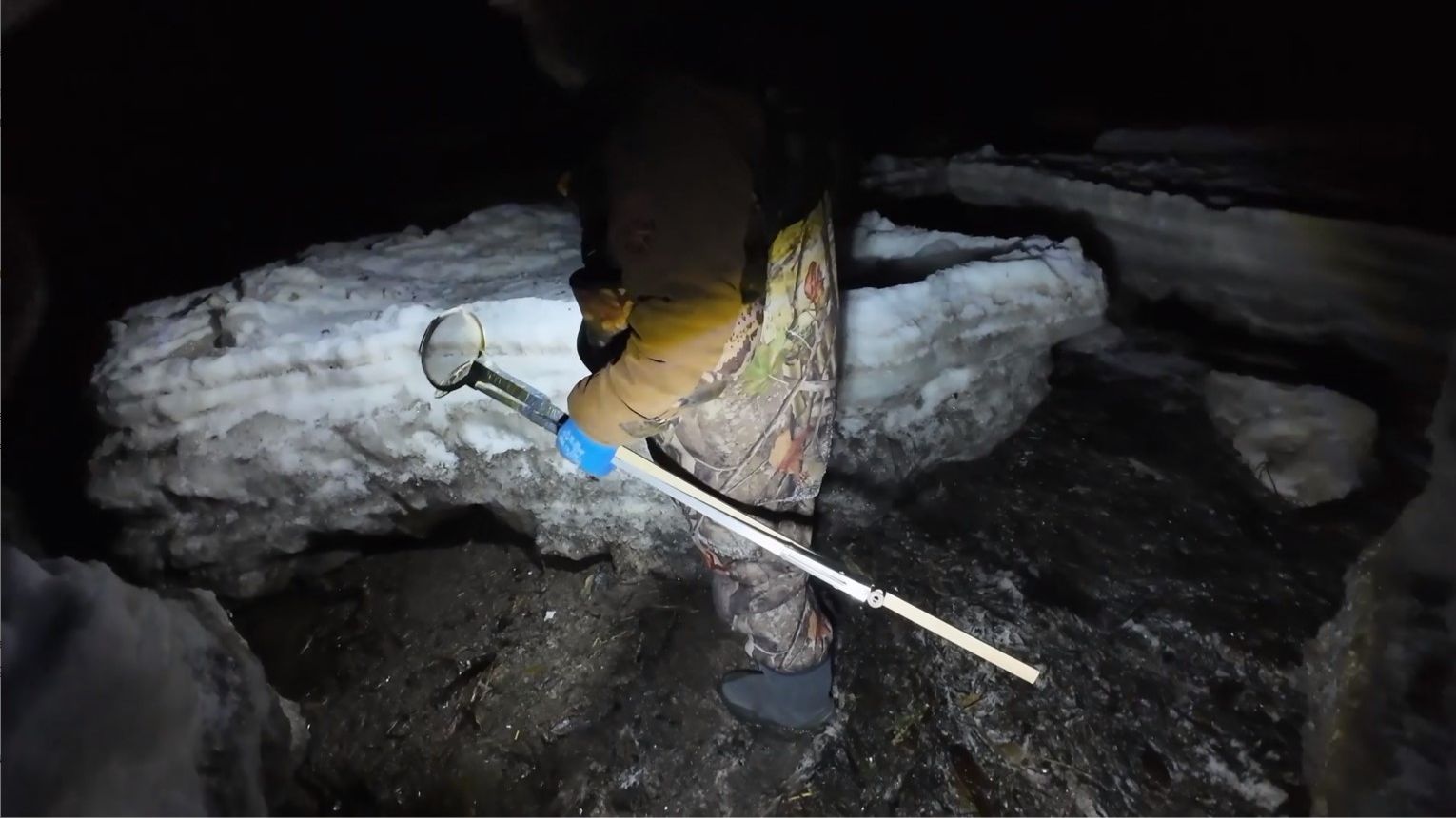 ПОШЛИ В НОЧЬ НА МОРЕ искать ракушку смотреть онлайн