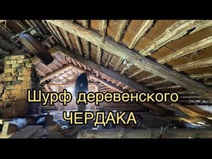 Дом лидера ОПГ,  нашли оружие и кабана! Шурф деревенского чердака! Металлокоп. Коп металлолома.