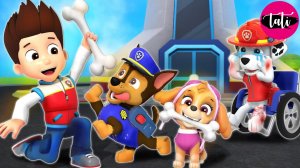 Щенячий патруль и Маршалл. Залипательное видео. Мультфильм для детей и малышей. Анимация 7