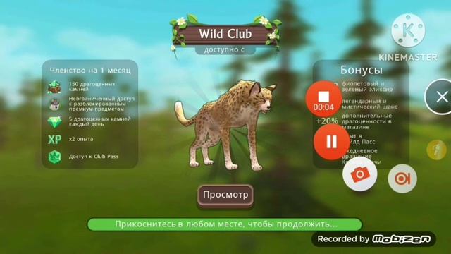 Тик-ток смотреть онлайн