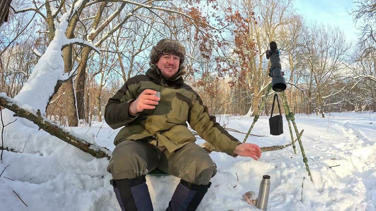 Черная птица вместо Белой совы. Дневник натуралиста. 8 февраля 2024 г. смотреть онлайн