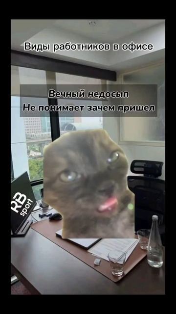 #офис #работа #смех #жиза #юмор смотреть онлайн