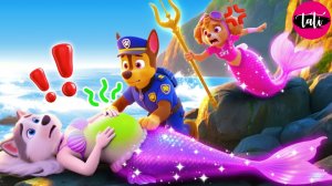 Щенячий патруль и Маршалл. Залипательное видео. Мультфильм для детей и малышей. Анимация 4