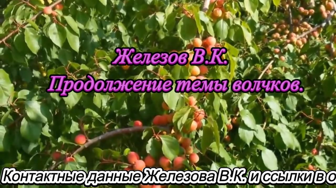Железов В.К. Продолжение темы волчков. смотреть онлайн