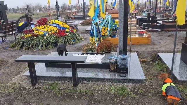 ДНЕПРОПЕТРОВСК , Декабрь 2025 смотреть онлайн