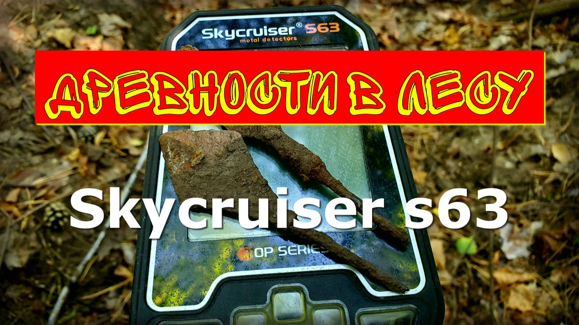 Нахожу их чаще чем подковы. Кунеевский лес. Тольятти.