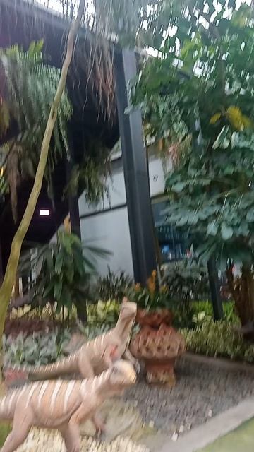 Почему в Таиланде есть павильон кактусов? смотреть онлайн