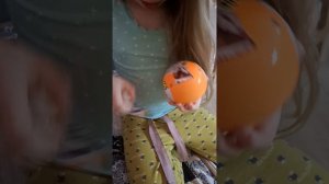 Мини Бренд от Деда Мороза❤️🔥🎄🎊Таисия и мама в эфире Декабрь 2025