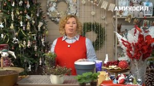 🪴Традесканция: особенности черенкования и правильного ухода за сортом Фата невесты