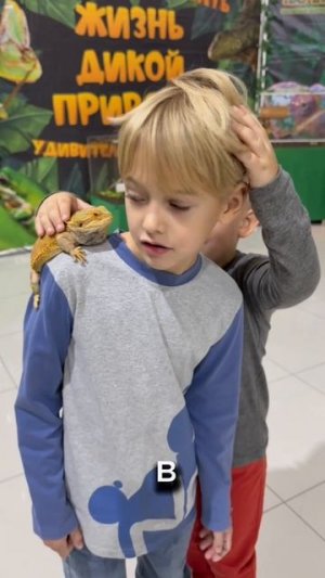 новый друг 🤣#топ# #тренд#тренды#актив#супер