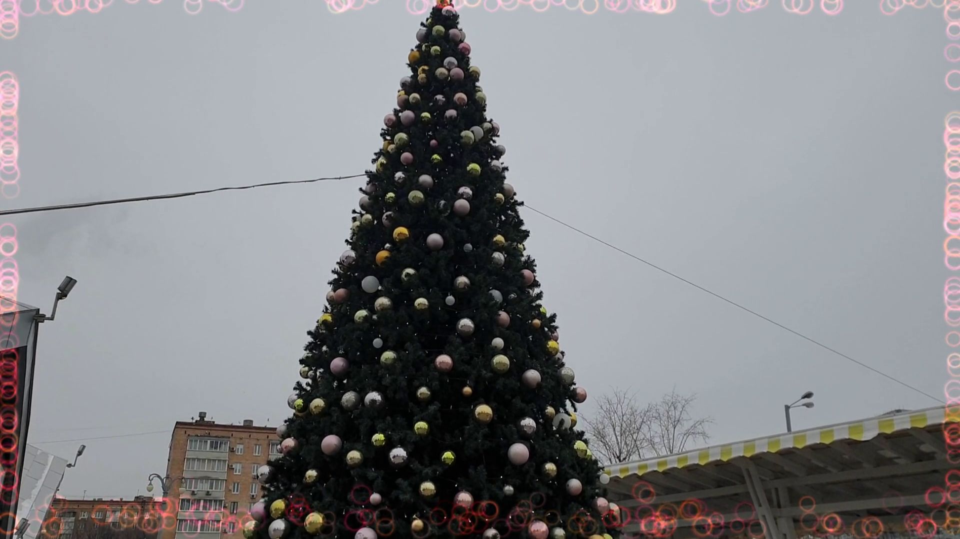 Предновогодний переполох . Я такого не ожидала ...(ШуТкА юМоРа) смотреть онлайн