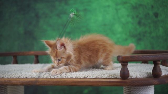 Jack 1,5 месяца смотреть онлайн