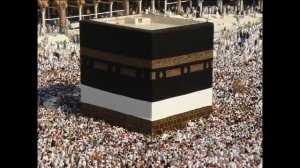 БОЛЬШАЯ ПЕРЕЗАГРУЗКА ТЕРРАРИУМА ПРОДОЛЖАЕТСЯ.