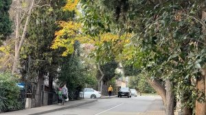 Ялта. Ул.Чехова, Партизанская, переулок Партизанский. 07.12.2025. Крым. Crimea. Yalta.