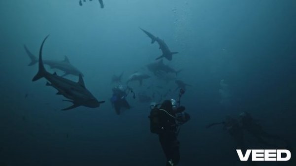 BallaDonna - The Door of Solitude