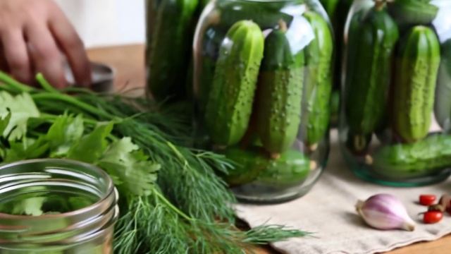 Засолка огурцов на зиму. Рецепт внутри. смотреть онлайн