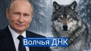 ❄️ Санта без упряжки Финляндия обвинила Россию
