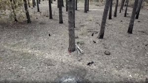 эдит медведь Валера
