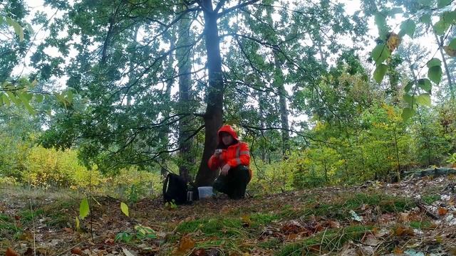 За грибами. Они ещё есть! Дубовики, белые грибы, подбер? смотреть онлайн