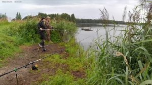 Ловля карпов и амуров в Московской области. Сезон 2025. Без комментариев