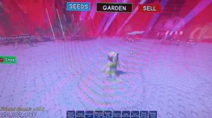 Война администраторов 23 августа