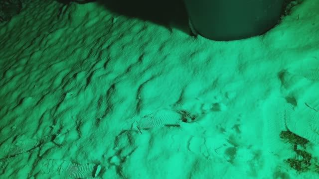 Декоративная Подсветка Деревьев на участке.