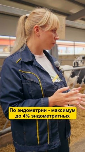 Как улучшили ЗДОРОВЬЕ коров? #фермер #коровы #корова #крс #ферма #сельскоехозяйство