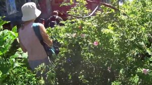 ЗДЕСЬ ЖИЛИ СОВСЕМ НЕДАВНО! Встретили лосей в брошенном доме. Деревня Ярославской области. Часть 2