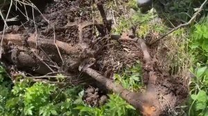 Такого Вы ещё не видели. #металлокоп #копметаллолома #заработок #коп #металлоискатель