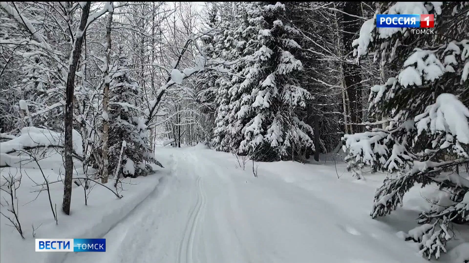 Вести-Томск, выпуск от 24.12.2025 11:30 смотреть онлайн