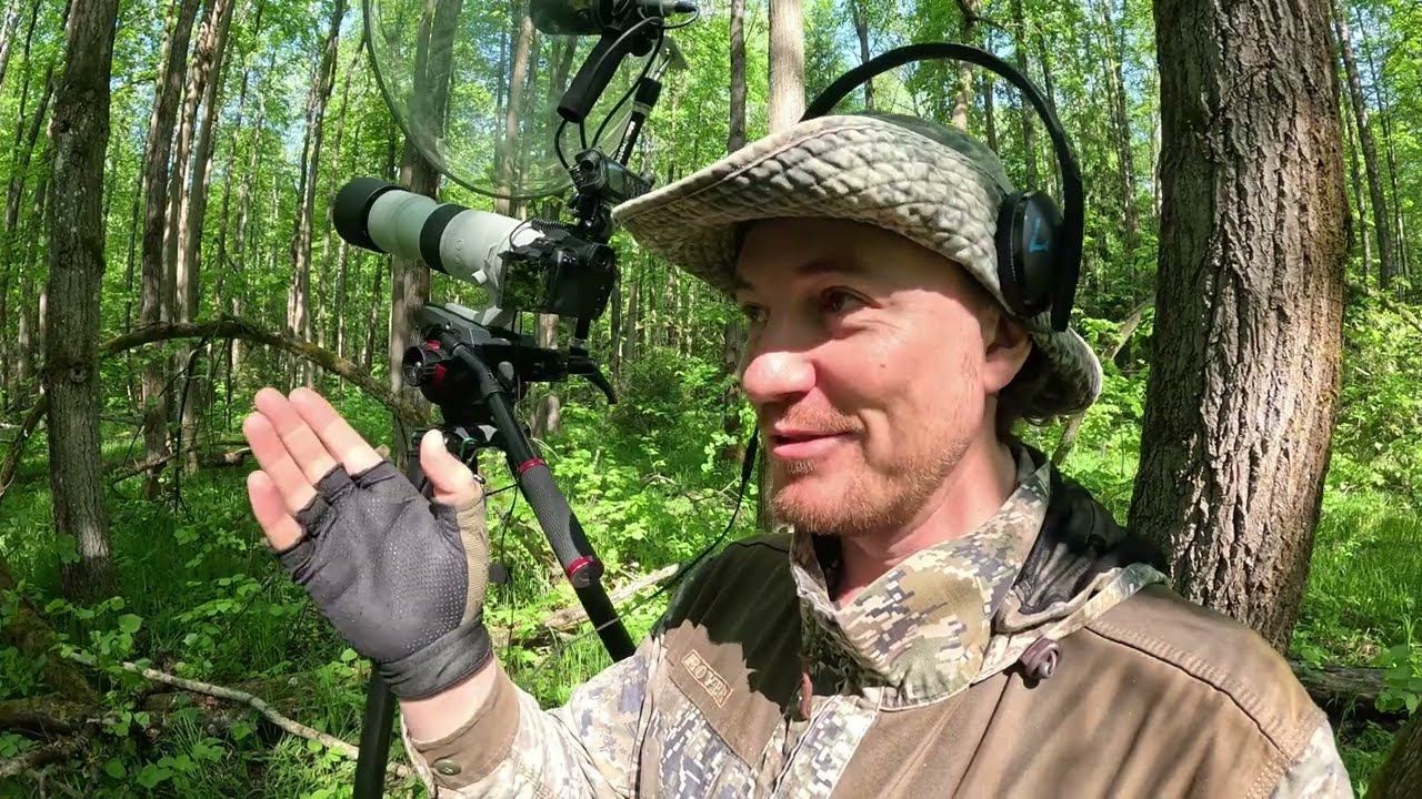 Московка из Подмосковья. Дневник натуралиста 21-22 мая 2024 г. смотреть онлайн