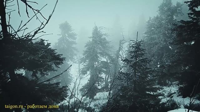 Великолепные пейзажи нашей планеты под музыкальные треки. Vol 1 смотреть онлайн