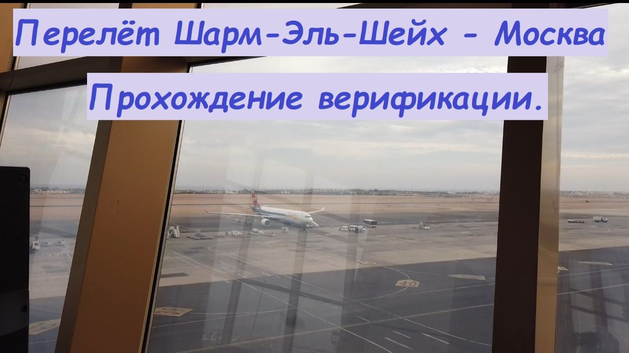 Перелет Египет-Москва * Прохождение верификации при возвращении домой / Россия, Москва