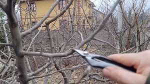 Параллель между системой клик и сокоотвлекающим побегом.