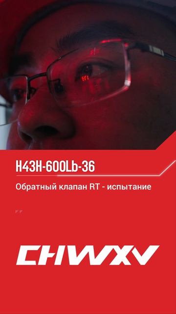 H43H-600LB-36 ОБРАТНЫЙ КЛАПАН, RT-ИСПЫТАНИЕ – CHWXV