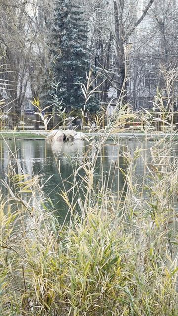 Парк Гагарина