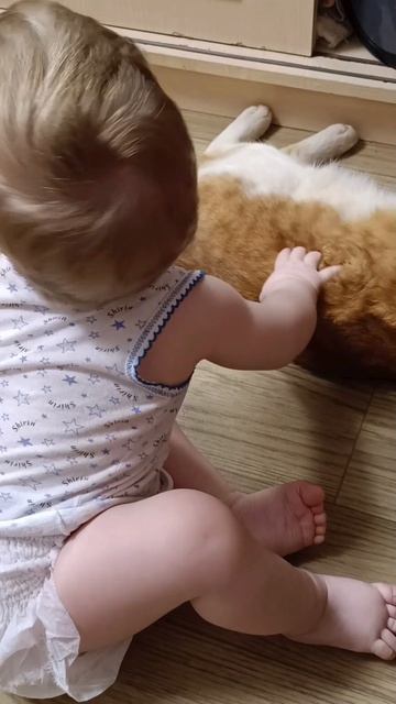 любимка мой☺☺☺🥰🥰🥰