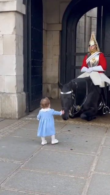 👏 Ребенок и королевский конь 👏 смотреть онлайн