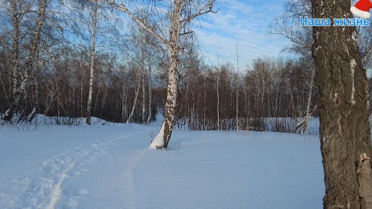 Сибирь зима декабрь много снега