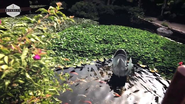 Тенерифе — навстречу мечте!